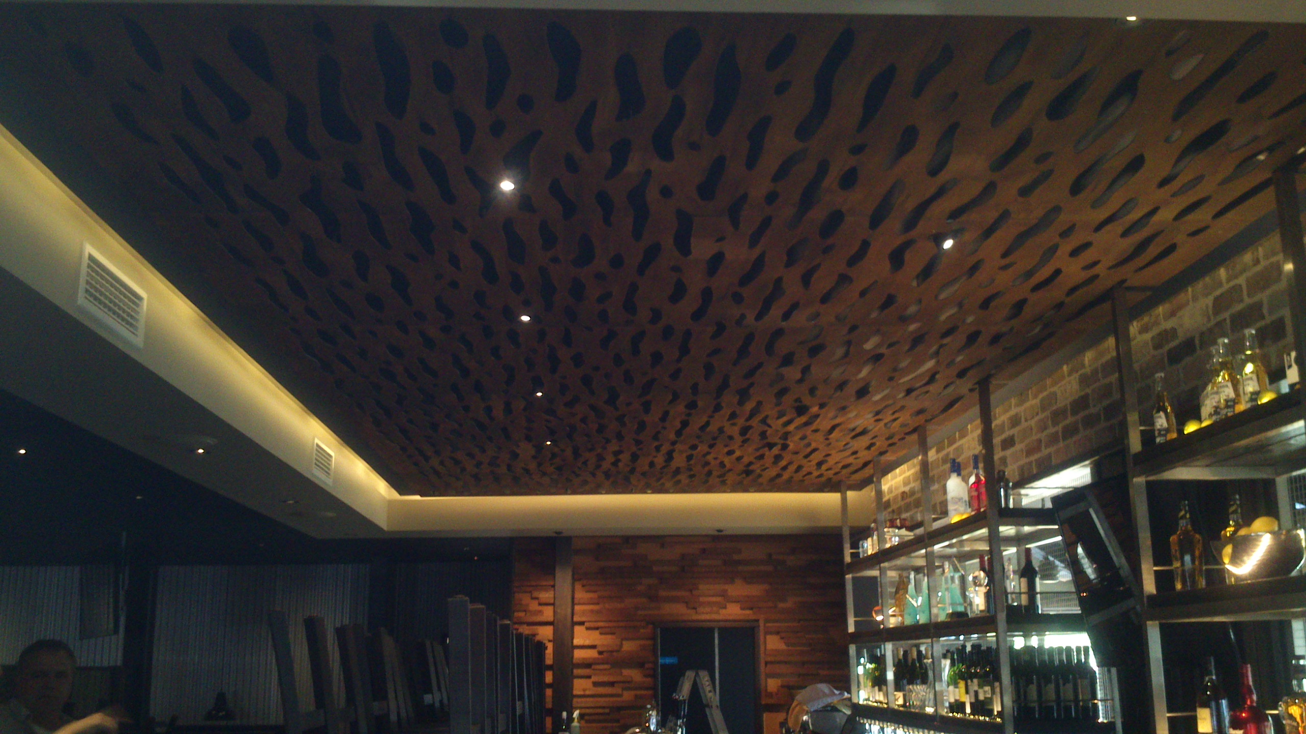 Outback-ceiling