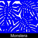 Monstera