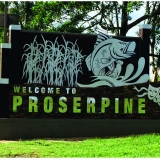 Welcome to proserpine - Tropical Designs