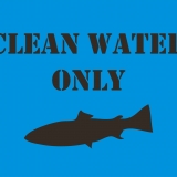 CLEAN WATE ONLY-fish